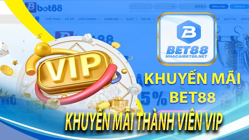 Khuyến mãi thành viên vip